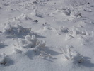 PC040068.JPG