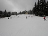 P1100019.JPG