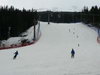 20110327_19_1_den.JPG