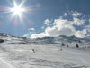 20110329_41_3_den.JPG