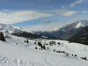 20110331_66_5_den.JPG