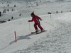 20110331_37_5_den_slalom.JPG